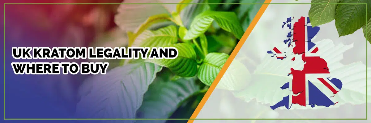 What Kratom Vendors Ship Quality Kratom to the U.K.?