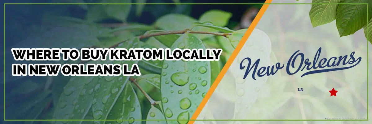 Best Kratom Vendors in New Orleans, LA: A Curated List