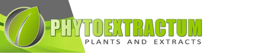 image of phytoextractum kratom vendor review