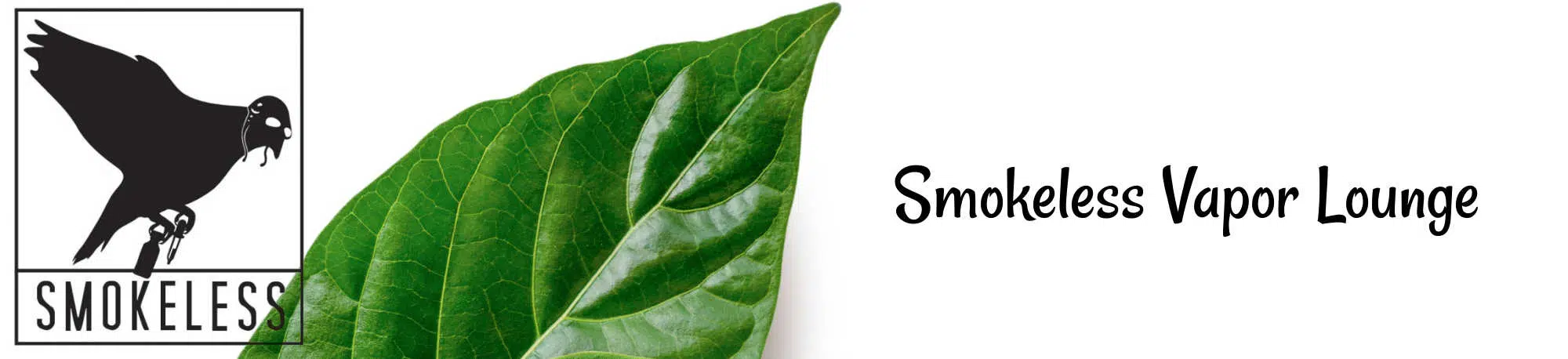 image of smokeless vapor vounge