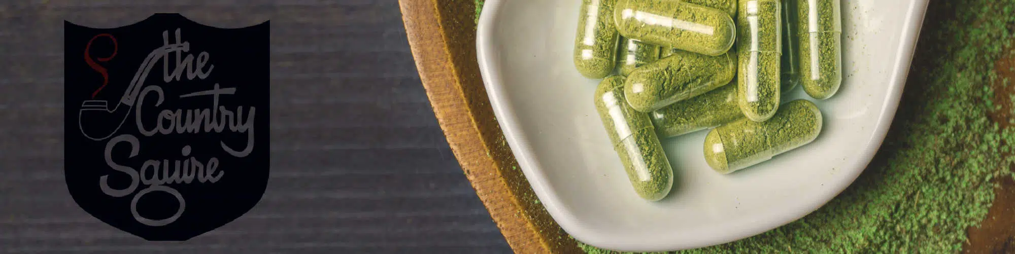 image of the country squire