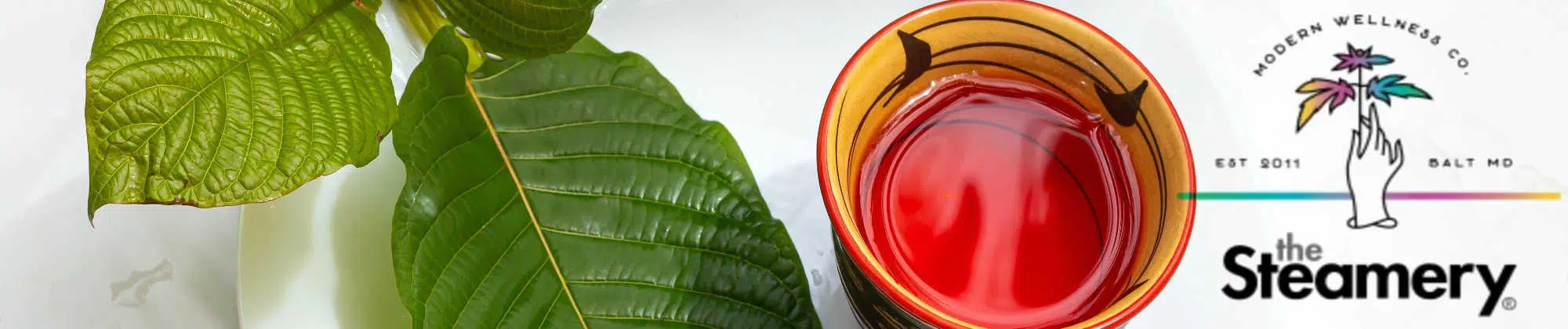 image of the steamery